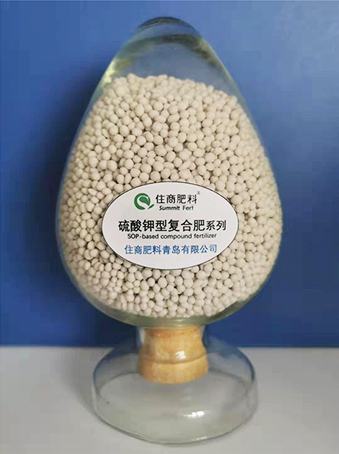 點(diǎn)擊查看大圖